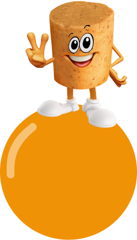Paçokinho